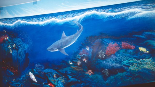 Manly Aquarium mural 4