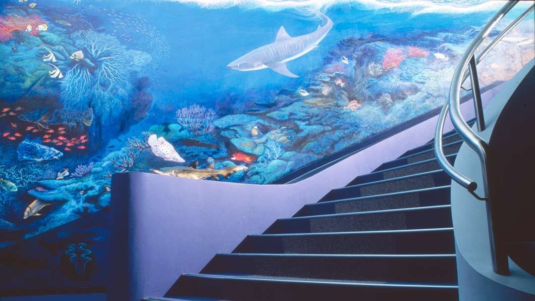 Manly Aquarium Mural 2