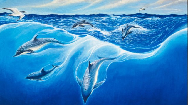 Dolphins