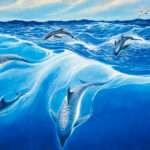 Dolphins