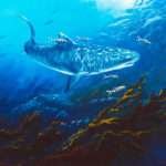 Tiger shark with pilot fish