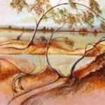 Kangaroo enigma