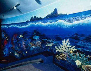 Manly Aquarium mural