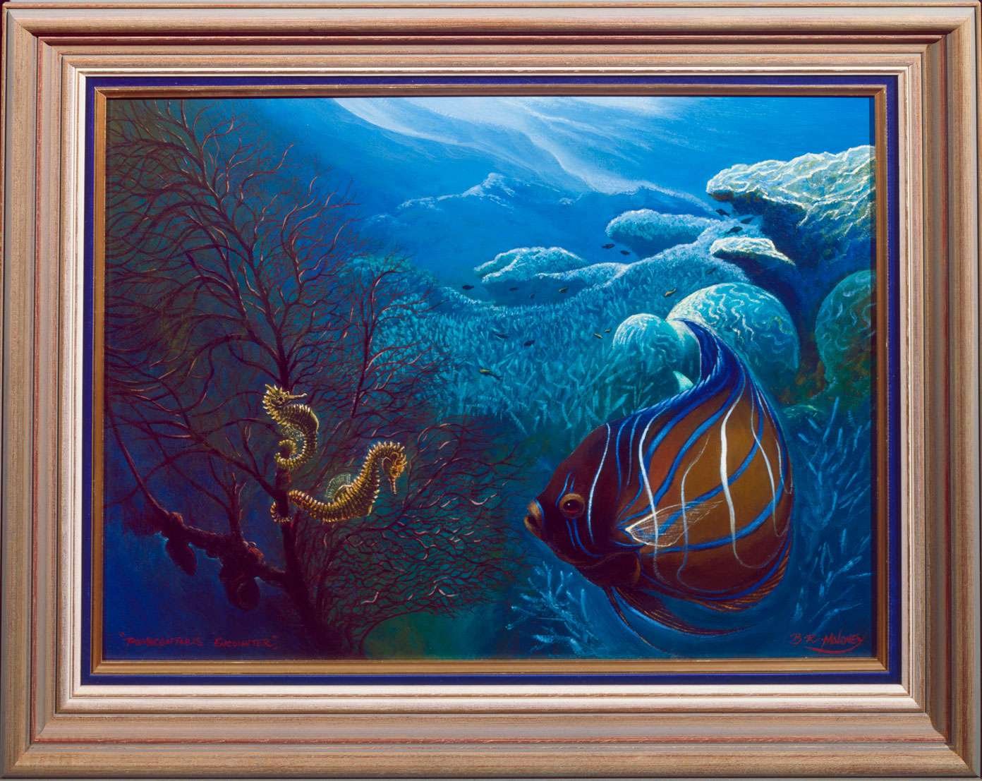 Pomacanthus Angel fish with seahorses