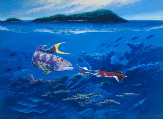 Predator of the Reef