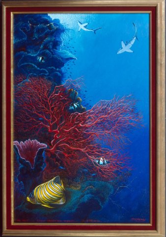 “The Wall” Great Barrier Reef