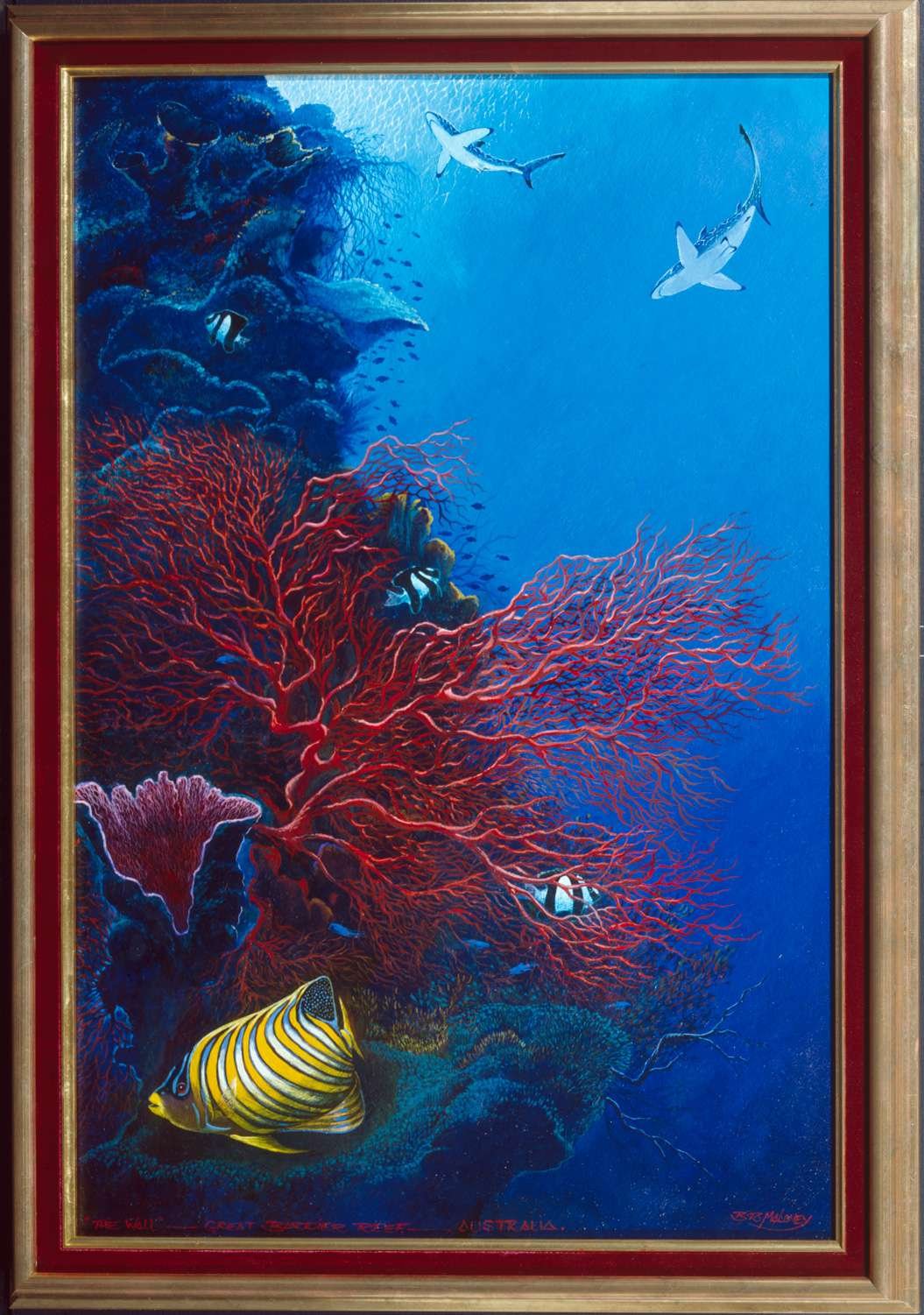 “The Wall” Great Barrier Reef