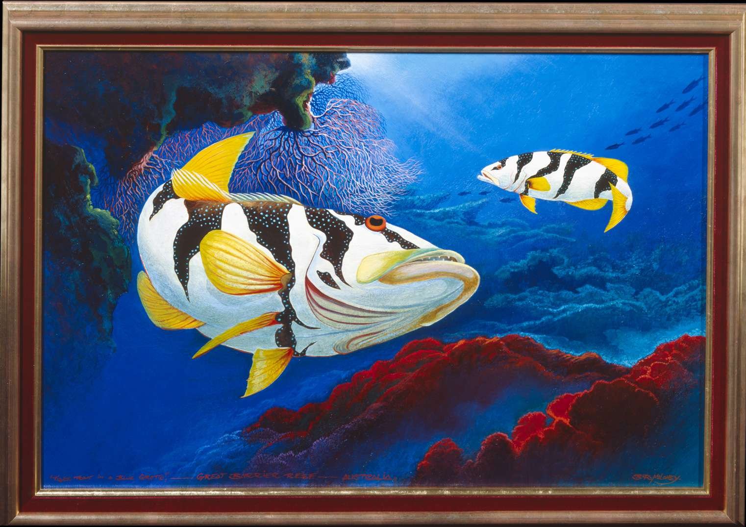 Tiger Trout in a Blue Grotto