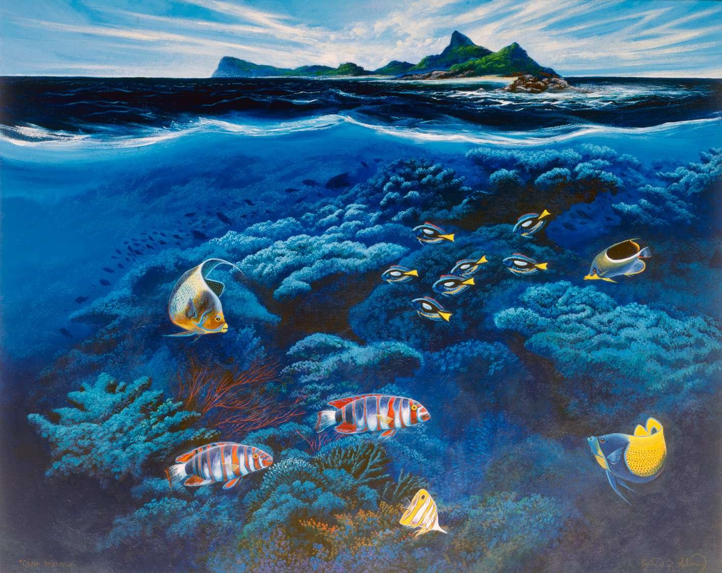 “Ocean Splendour”