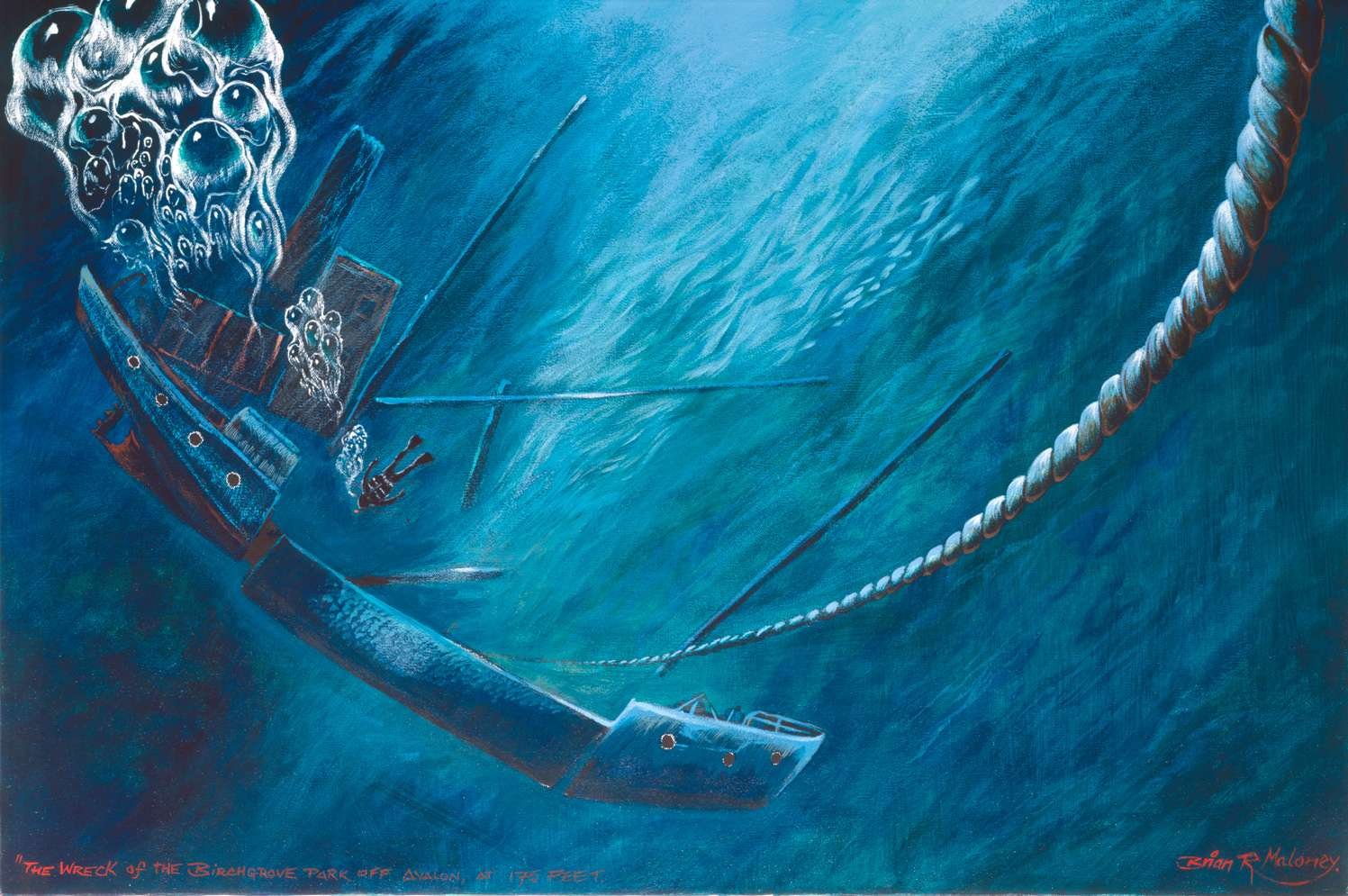 The Wreck of the “Birchgrove Park”