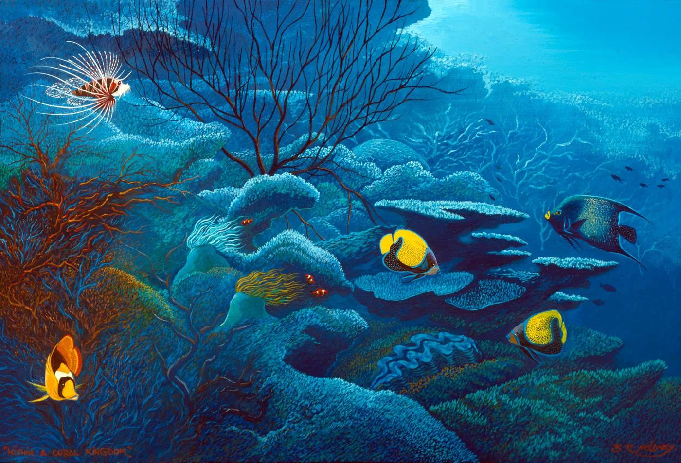 “Within a Coral Kingdom”