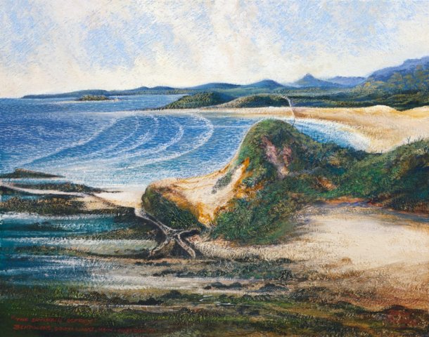 “The Invisible Osprey”