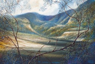 The Mystery of the magpie