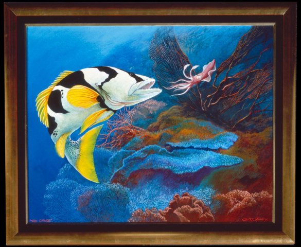 Footballer Trout pursuing Squid