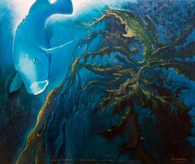 Blue Groper in a Kelp Jungle