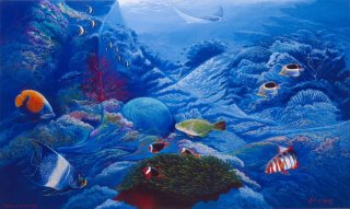 Mystery of the Manta Ray