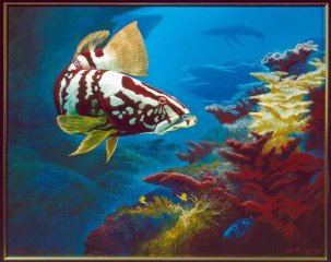 Hiding in the Shadows