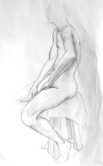 Anatomy Study
