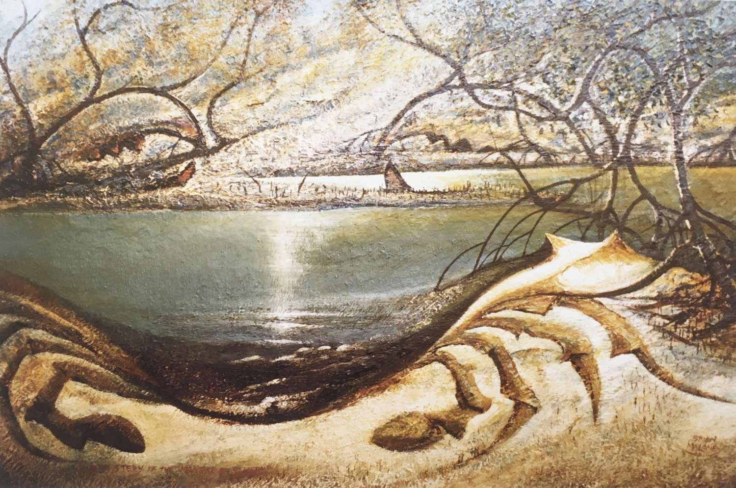 Mystery of the Mangrove Crab