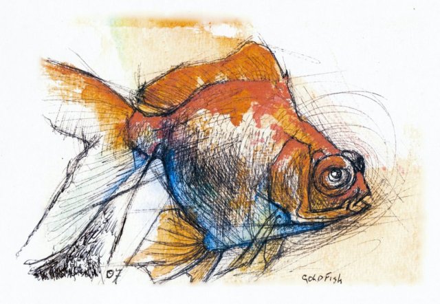 The Goldfish