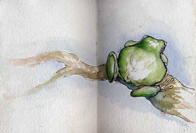 Frog Watercolour