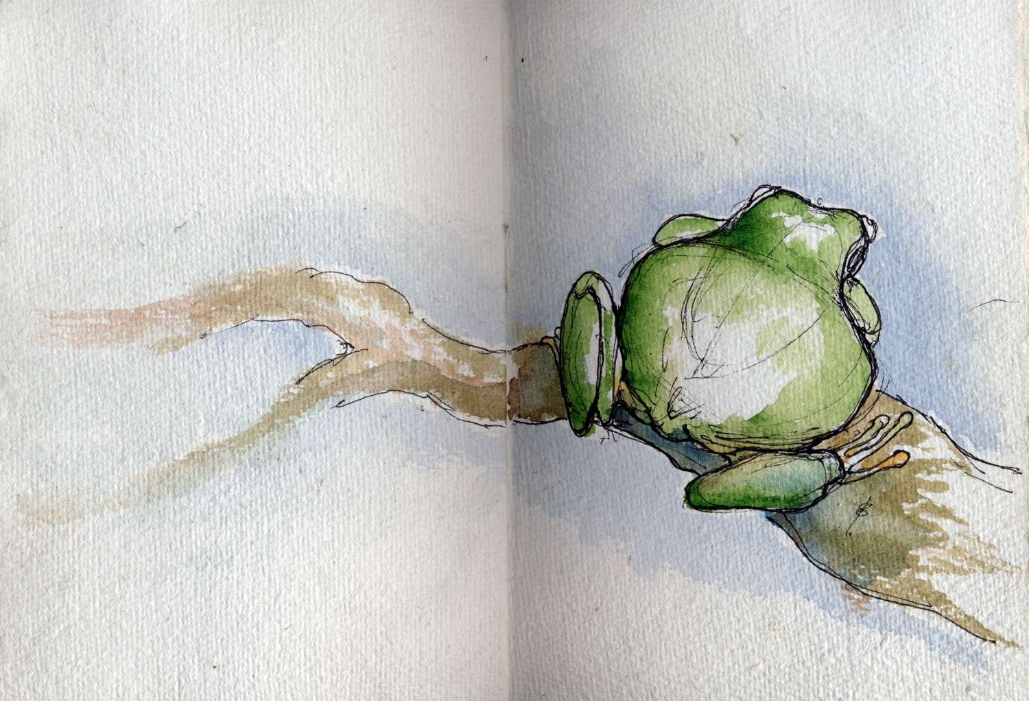 Frog Watercolour