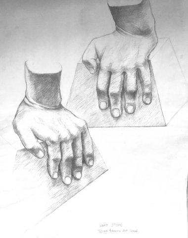 Hand Study