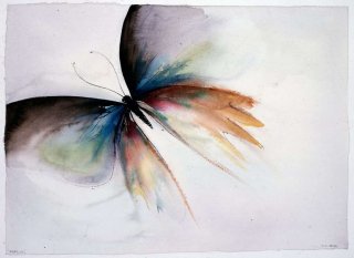 Papillon