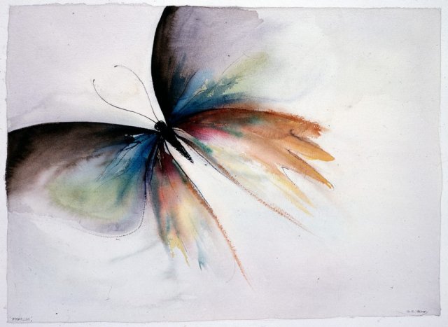 Papillon