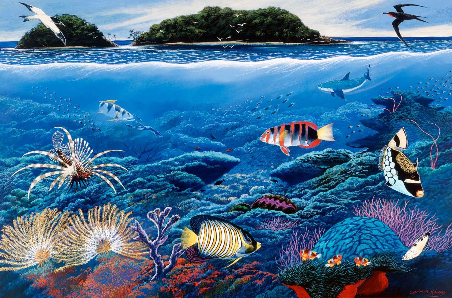 The Great Barrier Reef