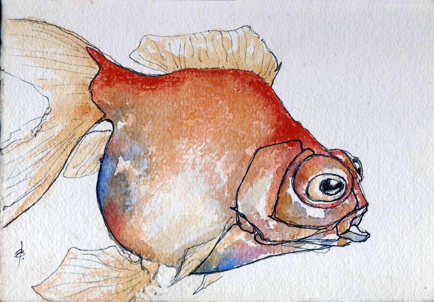 Goldfish Watercolour