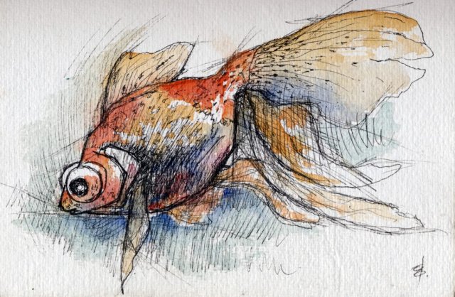 Goldfish Watercolour