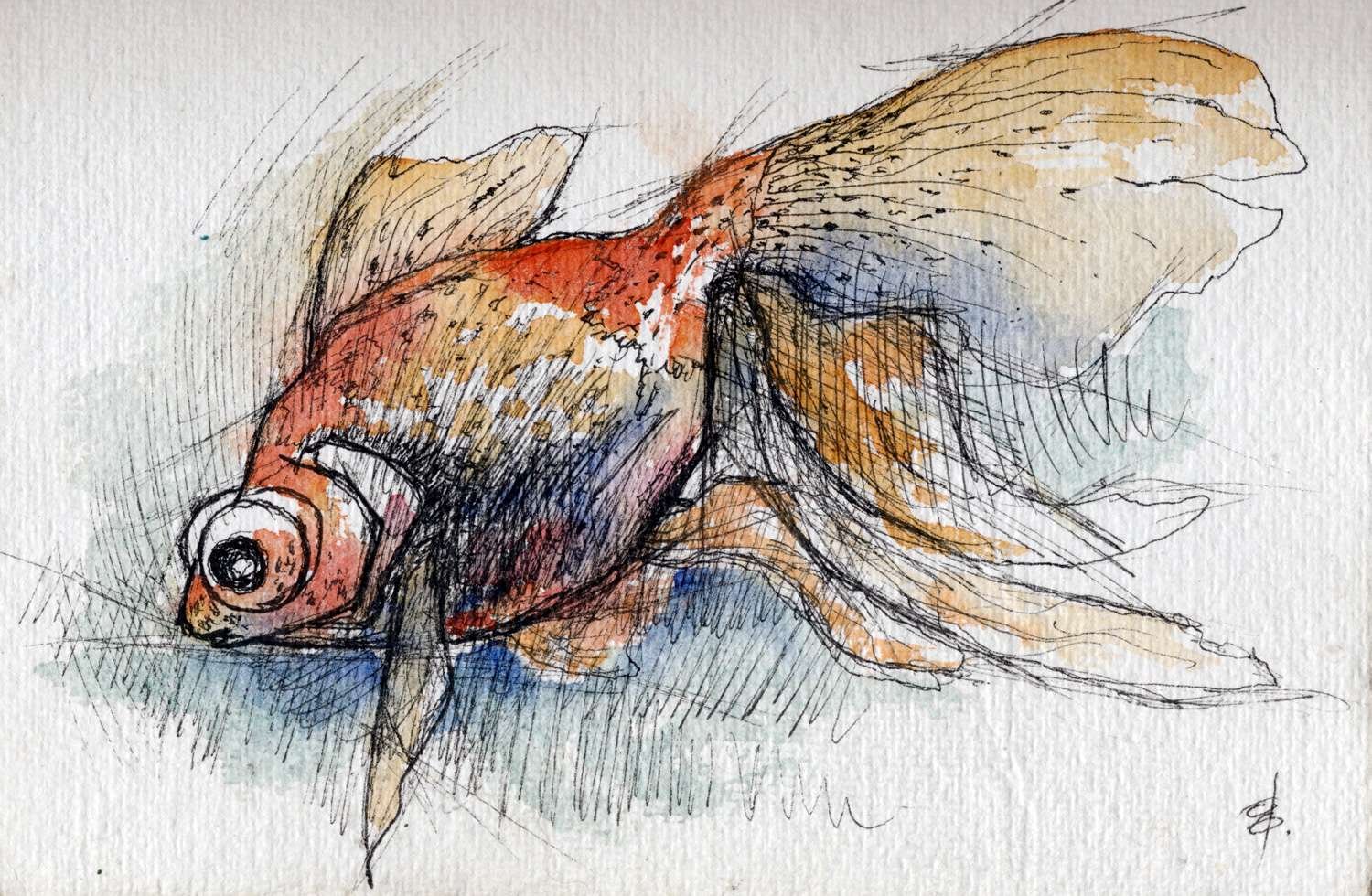 Goldfish Watercolour