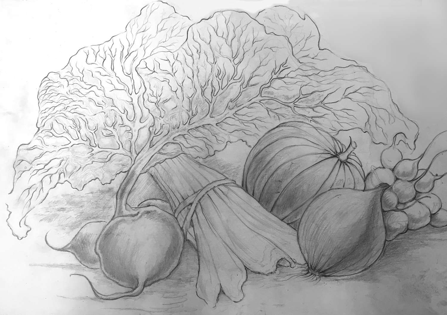 Sketch of vegetables still life